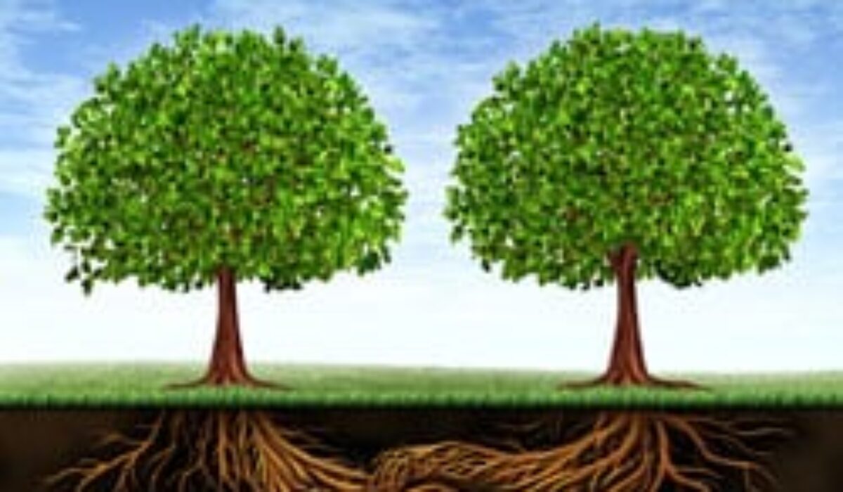 TRUST BUILDING-GET THE RIGHT TOOLS