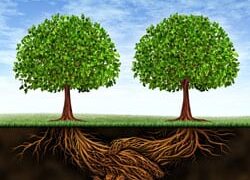 TRUST BUILDING-GET THE RIGHT TOOLS