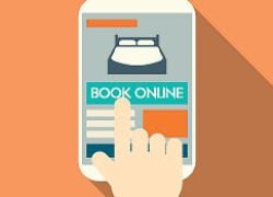 Digital Sharing Economy: A Tale of Two Approaches