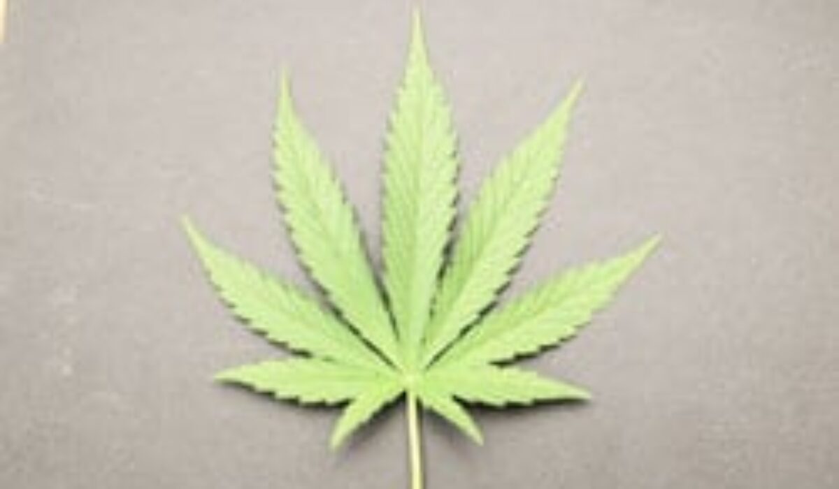 From the Margins to the Mainstream: Marijuana