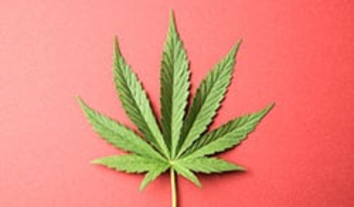 From the Margins to the Mainstream: Marijuana