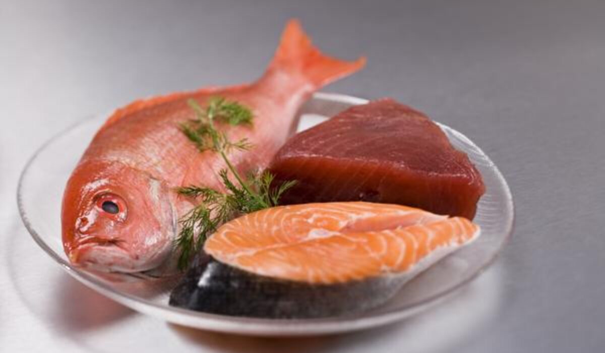 Strategies to Meet Increased Global Demand for Animal Protein