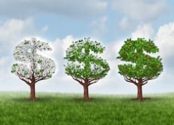Developed economy fundamentals remain supportive despite the market noise