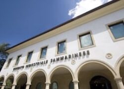 A Smart Bank In a Smart State