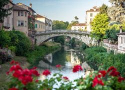 The Not So Gold Vicenza