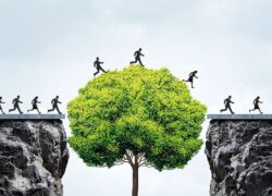 The South Pacific Bridge to Financial Security