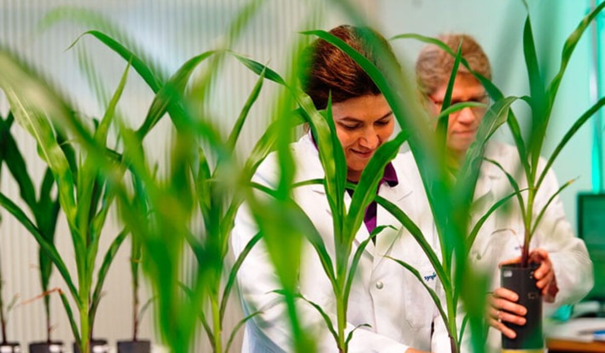 Aargau – Scope for Life Sciences Innovations