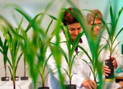 Aargau – Scope for Life Sciences Innovations