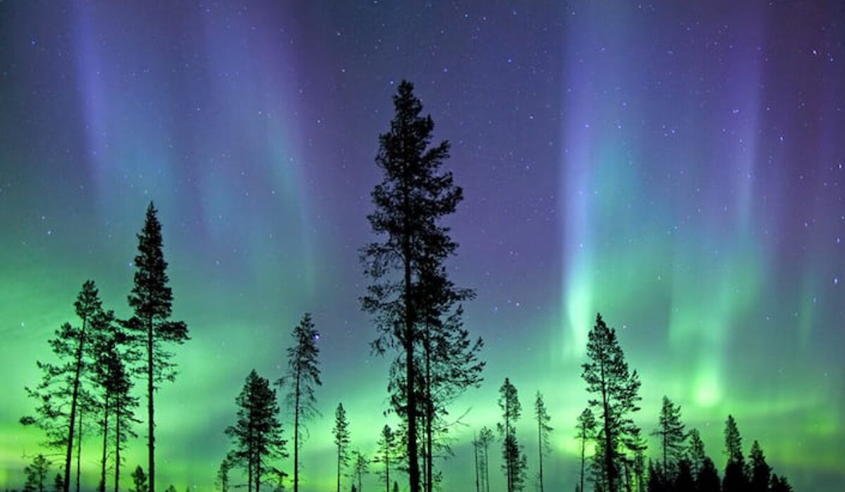 A New Frontier for Energy Intensive Industries