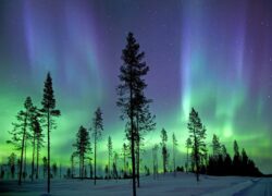 A New Frontier for Energy Intensive Industries