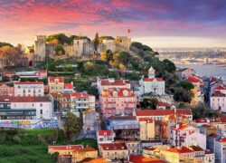 OECD: Portugal is the Country With the Most “Innovative” Projects to Combat COVID-19