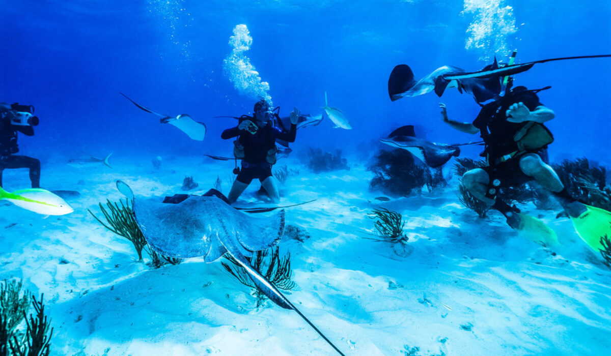 الحصول على جنسية أنتيغا وباربودا