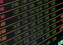 Autumn Quarterly Market Overview 2019