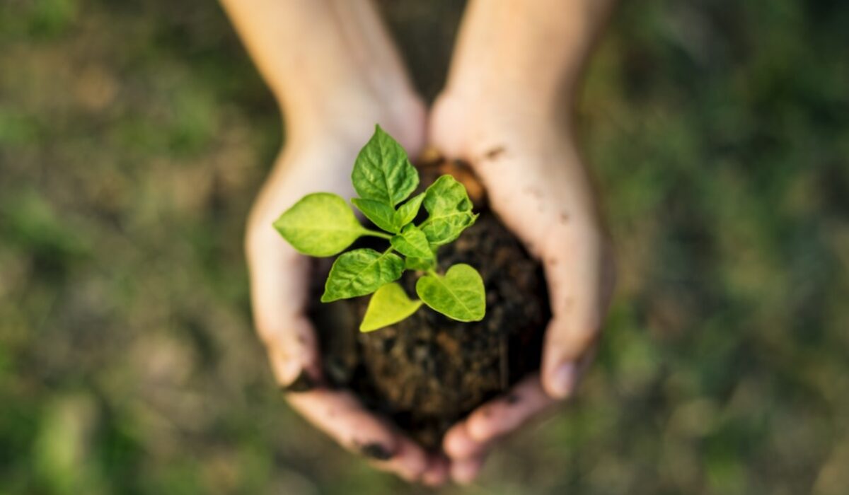 Responsible and Sustainable Investing