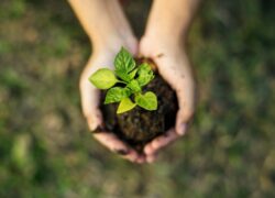 Responsible and Sustainable Investing