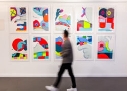 ARTCELS Release of Additional  Art Investment Shares