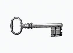 What Should Offshore Trustees Be Considering Now?