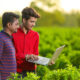 Agriculture