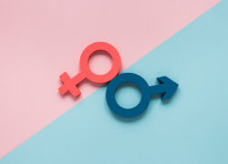 The Long Road Towards Gender Equality