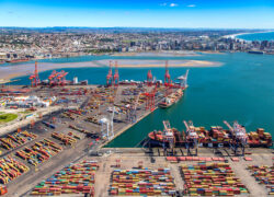 Unlocking Durban’s Potential: A CEO’s Insights on Attracting US Investors