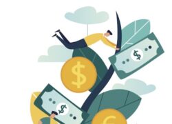 A Reputation For Accountability: Cook Islands Finance