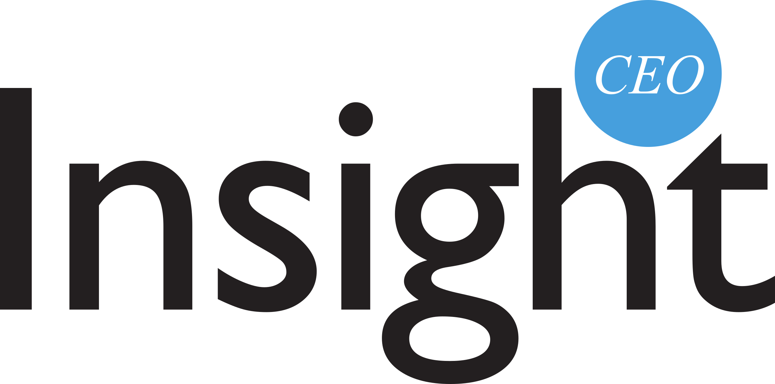 CEO Insight Logo