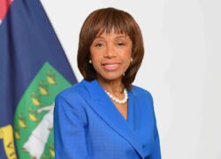 将势头转化为战略：英属维尔京群岛如何塑造全球金融科技的下一个篇章